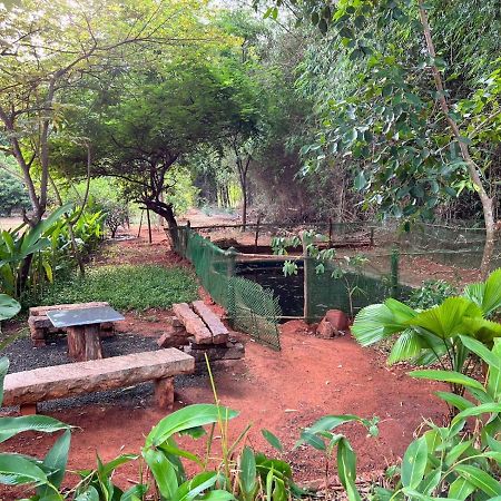 Bougan Villa オーロヴィル エクステリア 写真